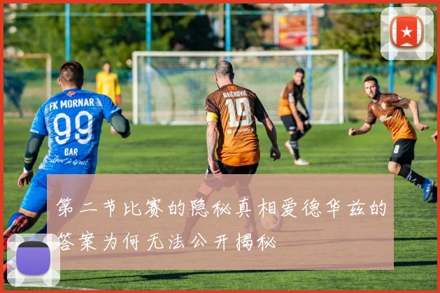 第二节比赛的隐秘真相爱德华兹的答案为何无法公开揭秘