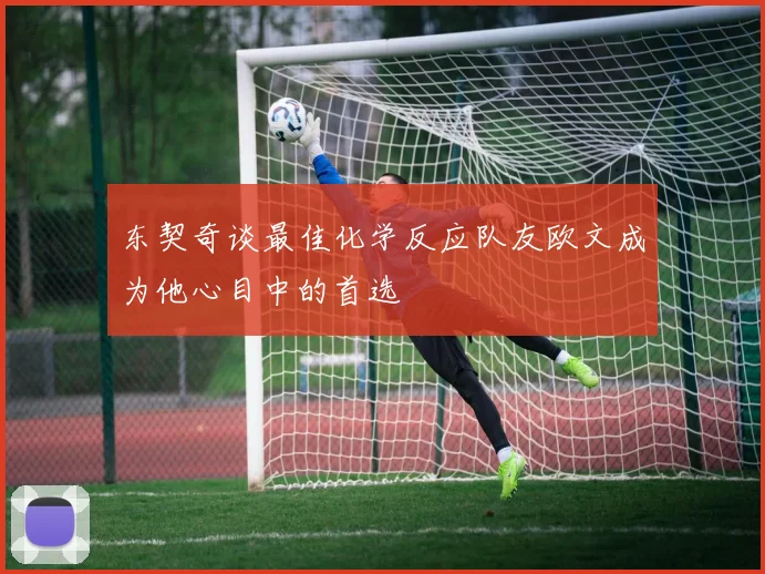 东契奇谈最佳化学反应队友欧文成为他心目中的首选